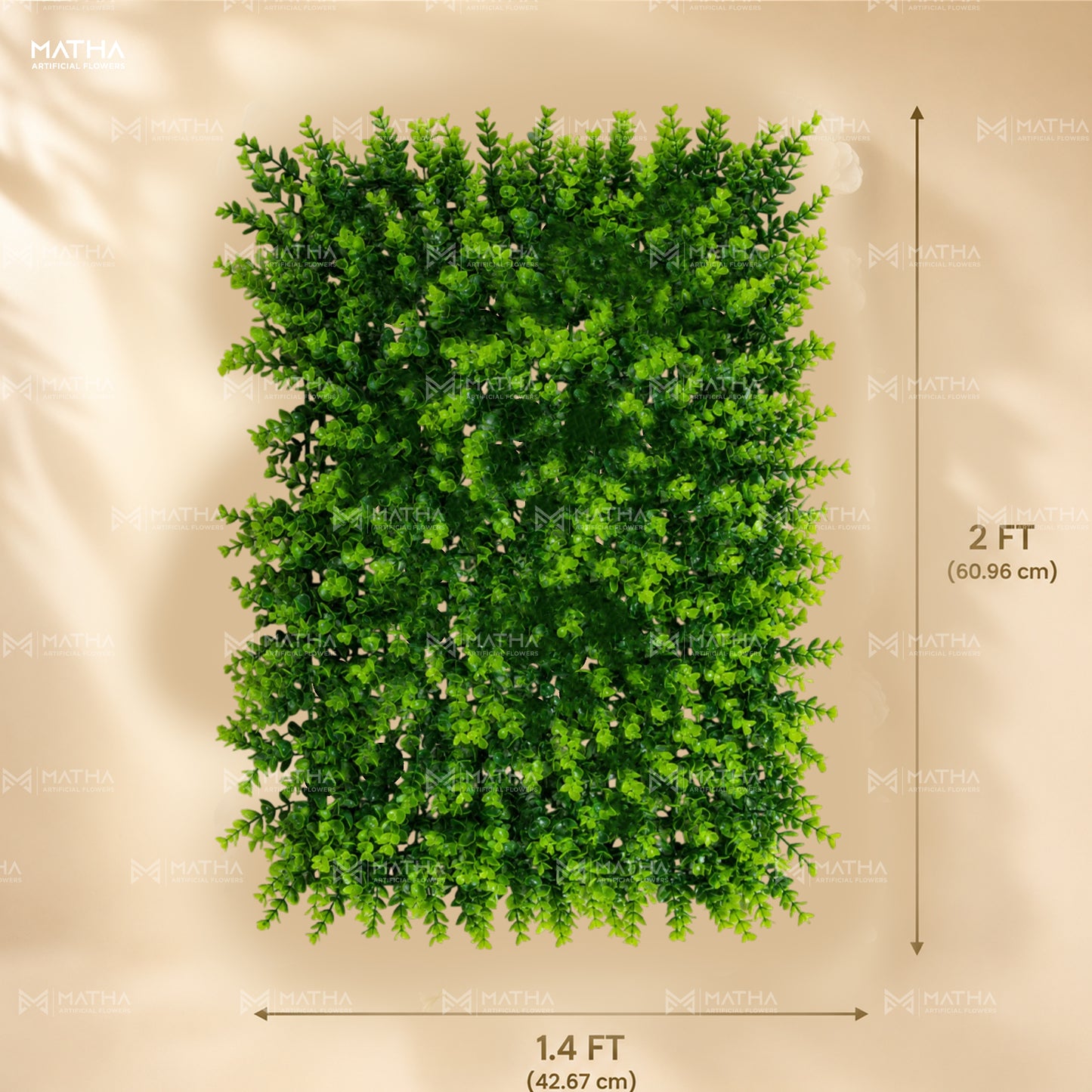 Euqliptus Mat | 1.4x2Ft | 1 Pcs