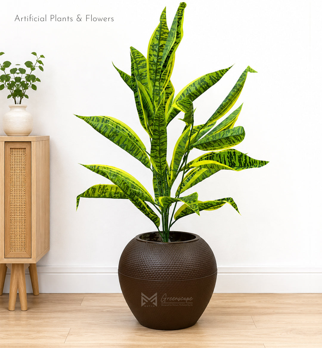 Dracaena Plant | 30 Inch
