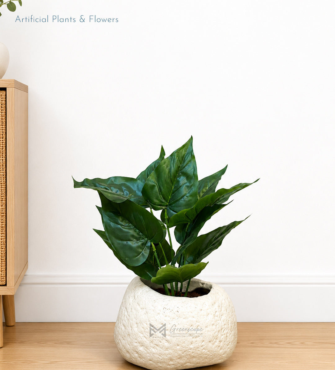 Alocasia Plant | 15 Inch