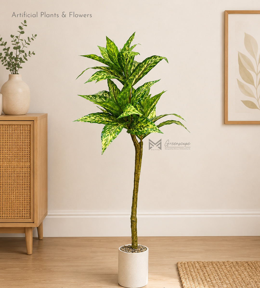 Dieffenbachia Plant | 3 Ft