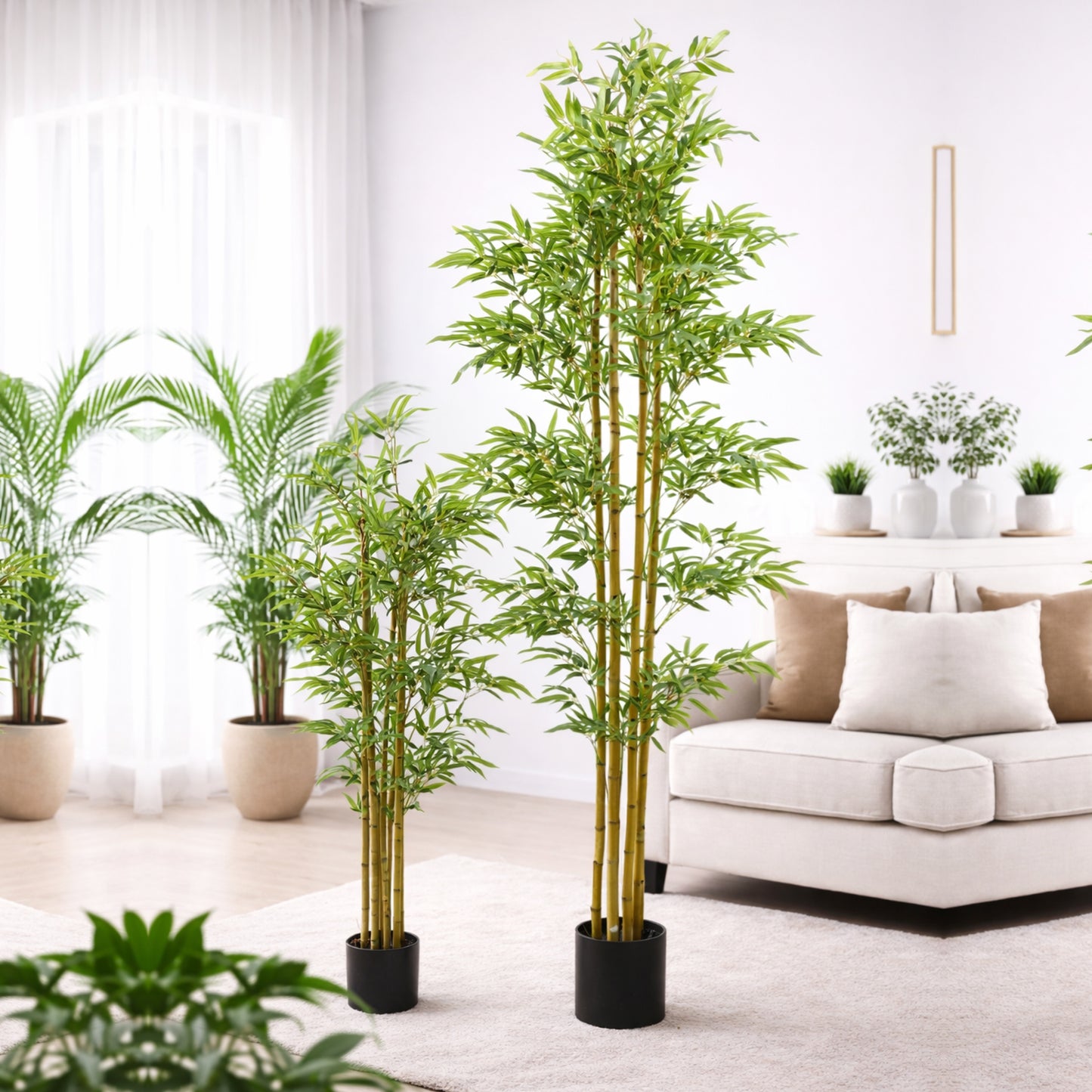 Bamboo Tree 4Ft & 6Ft