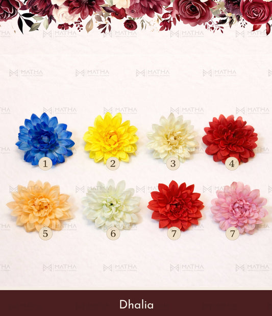 Dhalia | 3 Inch