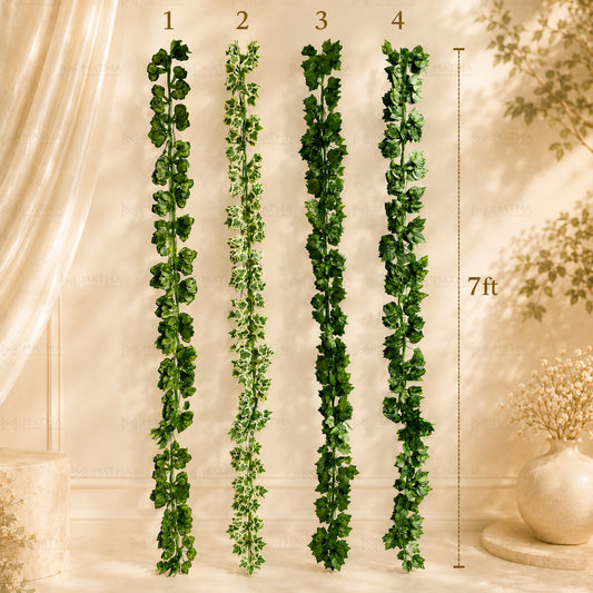 Leaf Creeper | Pack of 12pcs