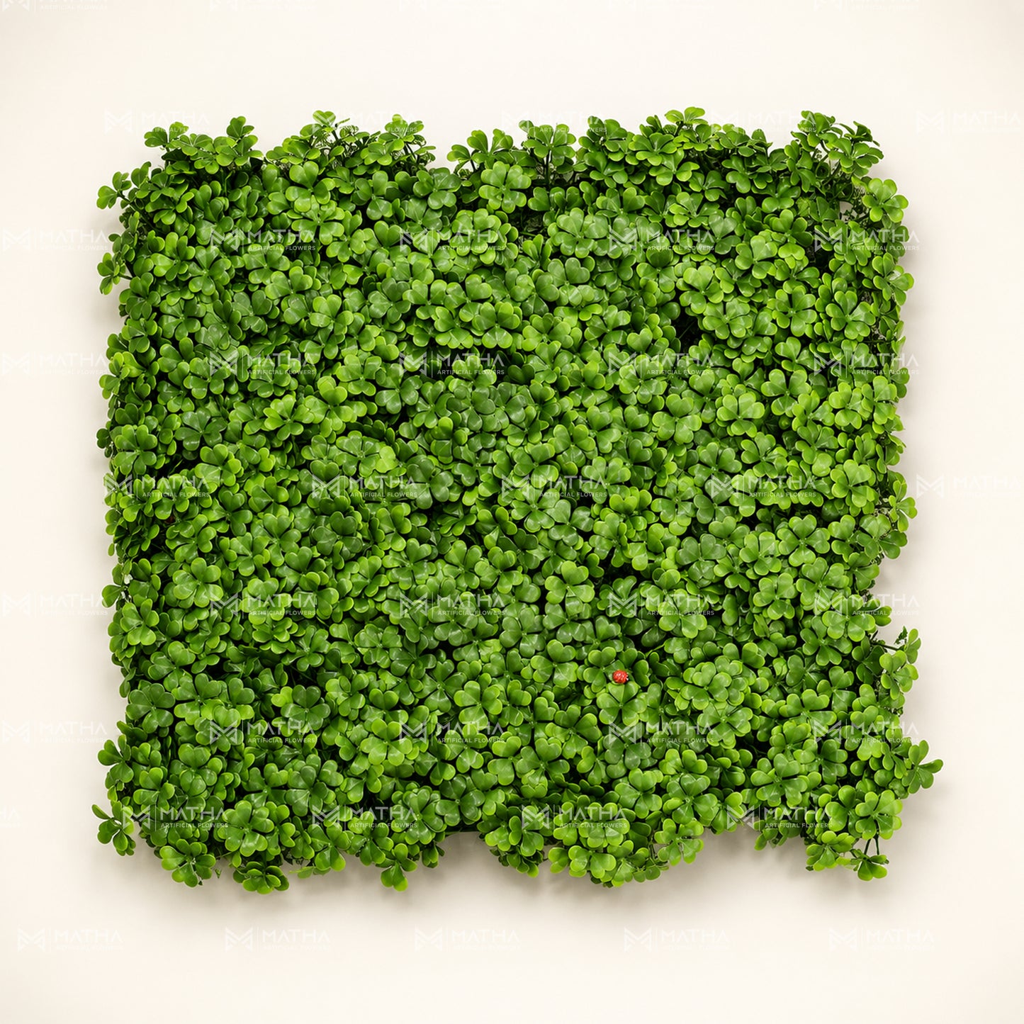 Clover Leaf Vertical Garden | 50cm x 50cm