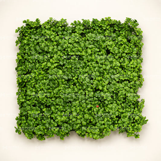 Clover Leaf Vertical Garden | 50cm x 50cm