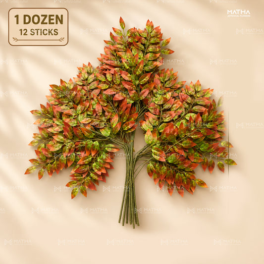 Dry Ficus Leaf Pack of 12 Pcs