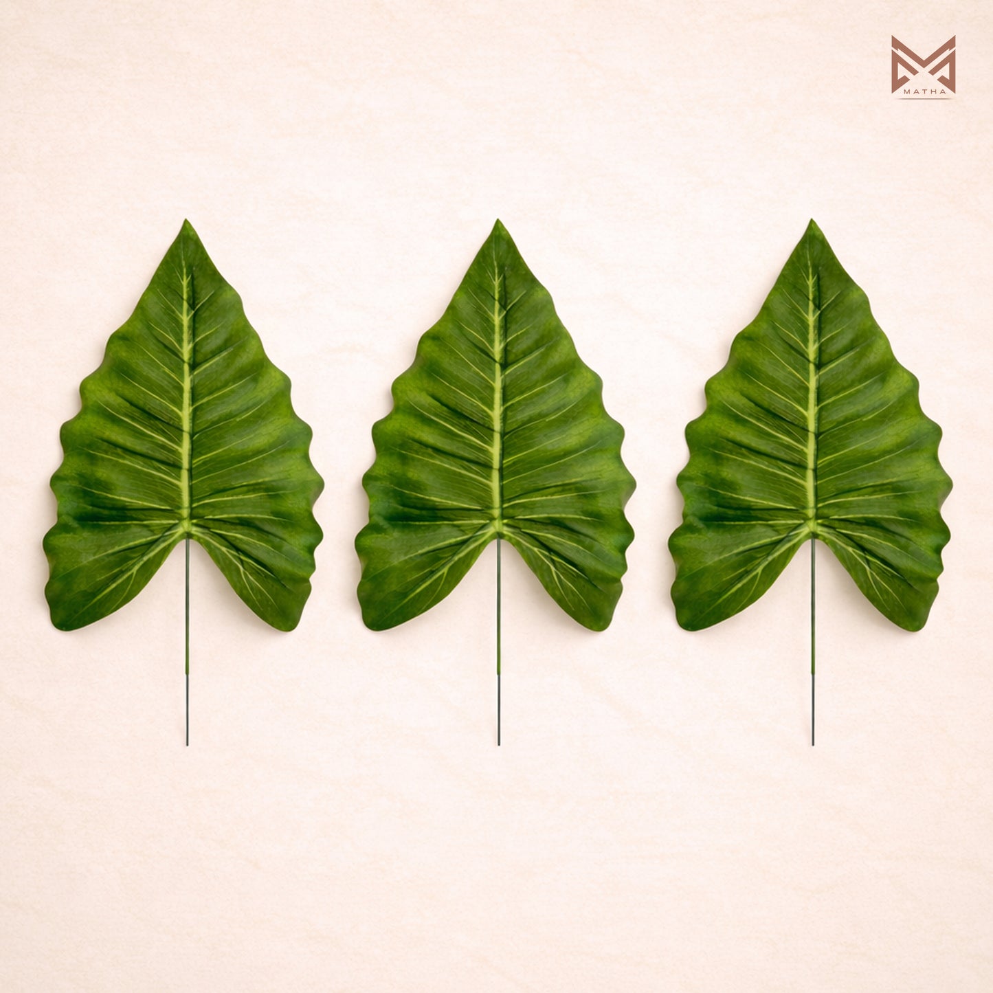 Alocasia Leaf Pack of 5Pcs
