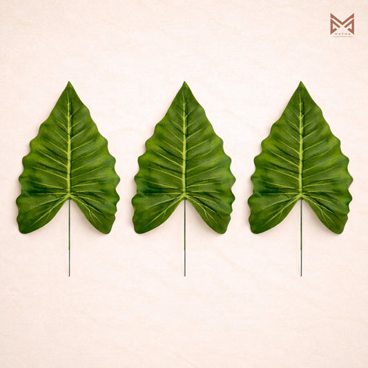 Alocasia Leaf Pack of 5Pcs
