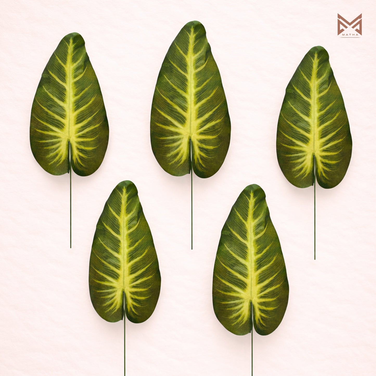 Alocasia Leaf | Pack of 5 pcs