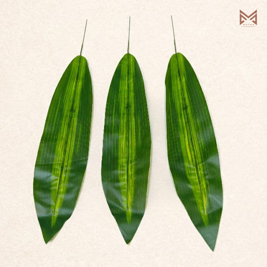 Dracaena Leaf | Pack of 5