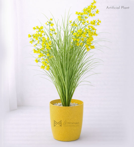 Wild Flower Grass Plant | 3Ft