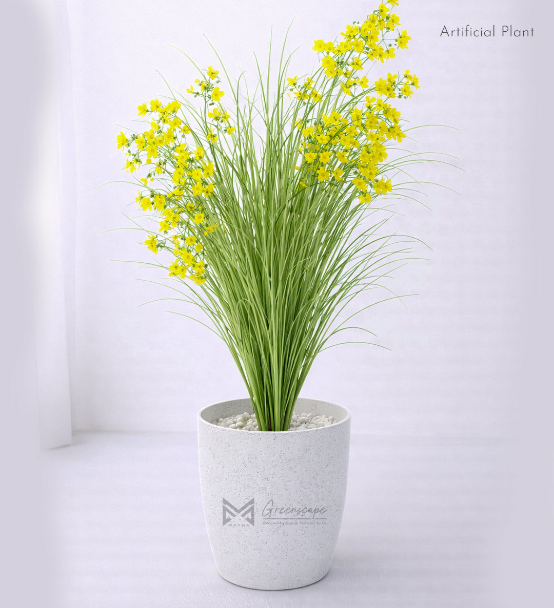 Wild Flower Grass Plant | 3Ft