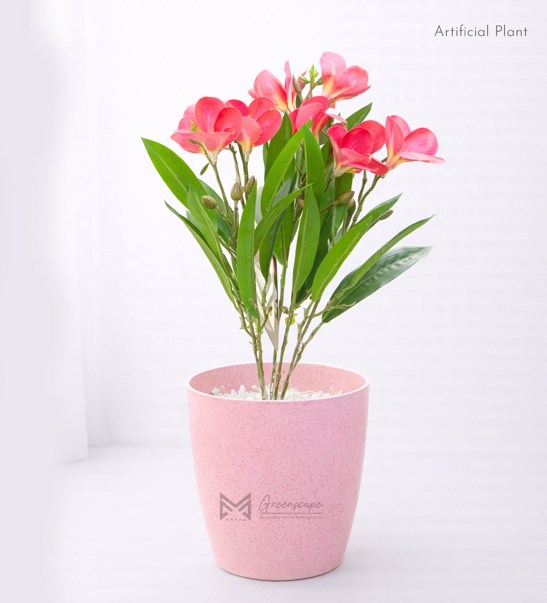 Pink Orchid Plant | 2Ft