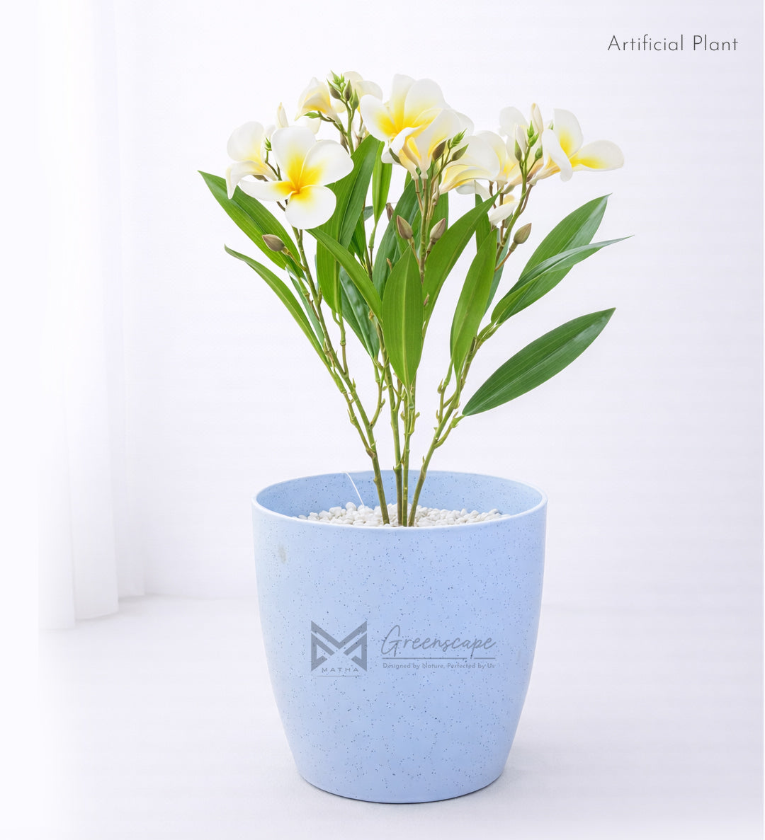 White Orchid Plant | 2Ft