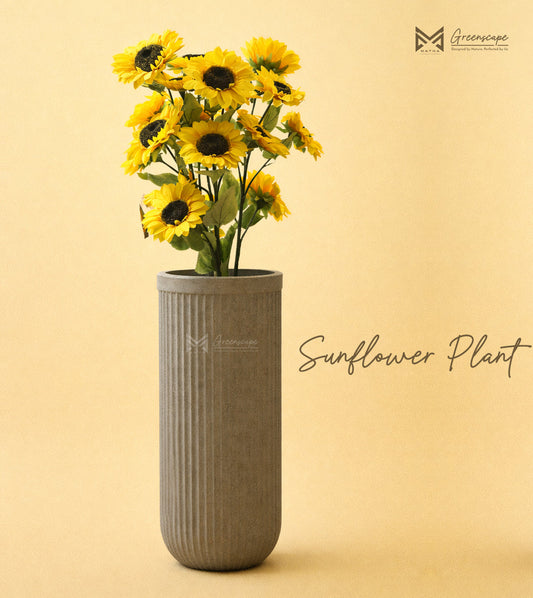 Sunflower Plant | 36 Inch