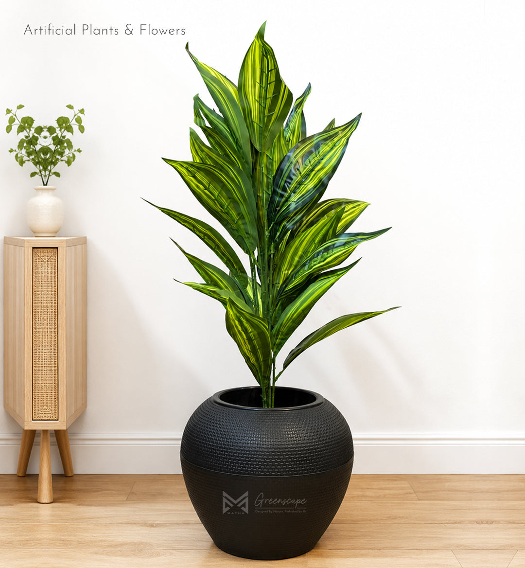 Dracaena Plant | 30 Inch