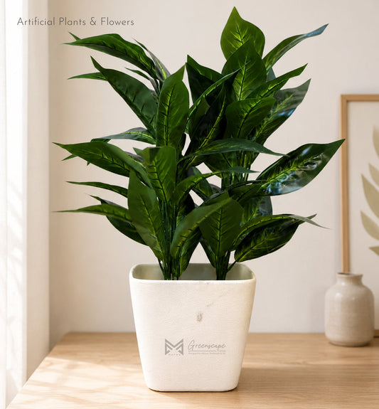 Green Foliage Plant | 2Ft
