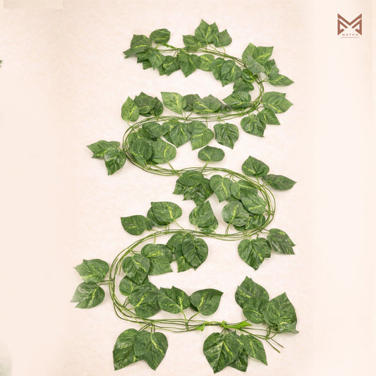 Leaf Creaper | Pack of 12pcs