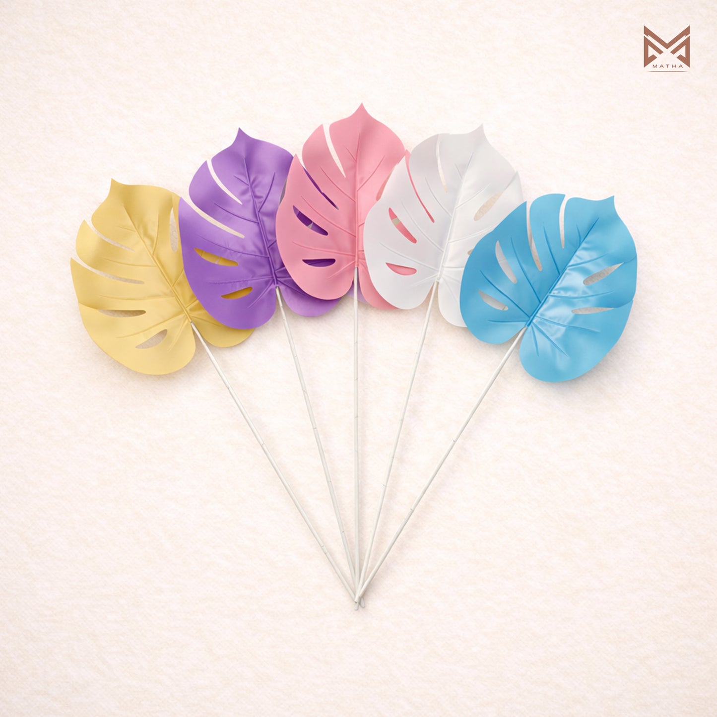 Colorful Monstera Leaf | Set of 5 Pcs