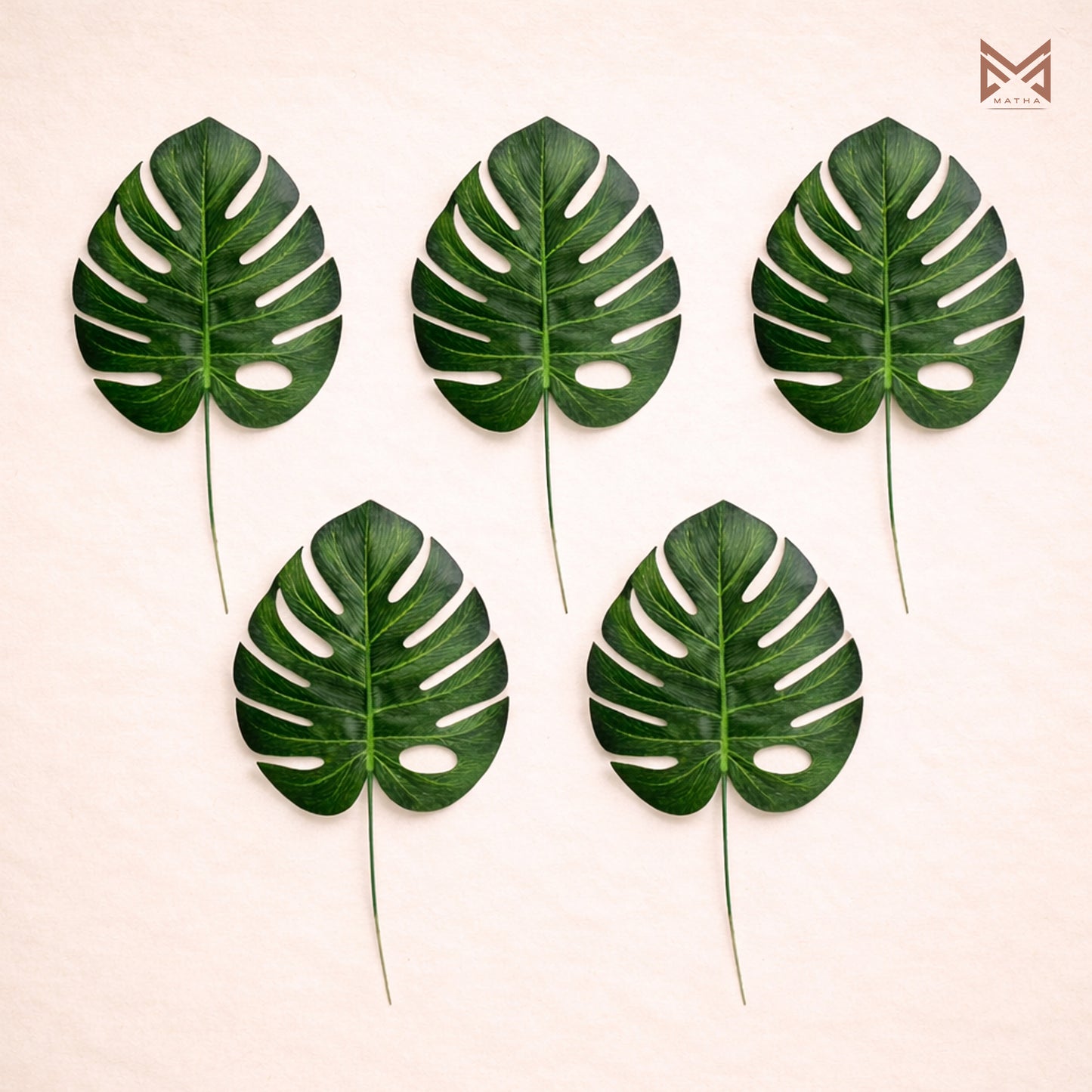Monstera Leaf 9Inches Pack of 5 Pcs