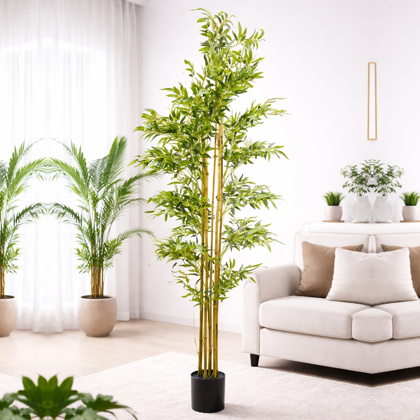 Bamboo Tree 4Ft & 6Ft